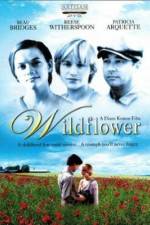 Watch Wildflower M4ufree