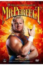 Watch The Life and Times of Mr Perfect M4ufree