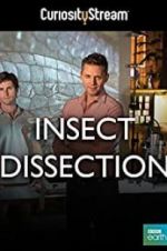 Watch Insect Dissection: How Insects Work M4ufree