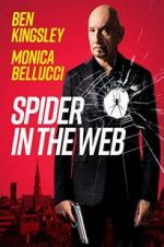 Watch Spider in the Web M4ufree