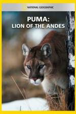 Watch National Geographic Puma: Lion of the Andes Online M4ufree