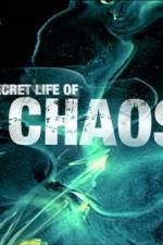 Watch The Secret Life of Chaos M4ufree