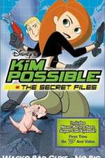 Watch "Kim Possible" Attack of the Killer Bebes Vodly