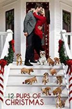 Watch 12 Pups of Christmas M4ufree