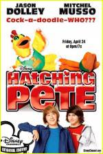 Watch Hatching Pete M4ufree