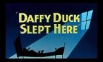 Watch Daffy Duck Slept Here (Short 1948) M4ufree