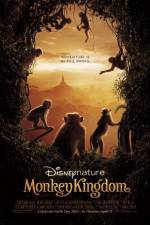 Watch Monkey Kingdom M4ufree