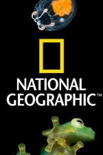 Watch National Geographic Wild Dam Beavers M4ufree
