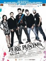Watch Pure Punjabi M4ufree