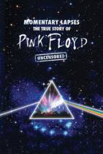 Watch Pink Floyd: Momentary Lapses - The True Story Of Pink Floyd M4ufree