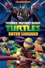 Watch Teenage Mutant Ninja Turtles: Enter Shredder M4ufree