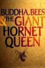Watch Natural World Buddha Bees and the Giant Hornet Queen Online M4ufree