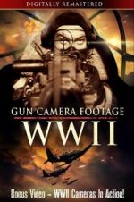 Watch Gun Camera Footage WWII M4ufree
