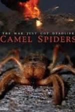 Watch Camel Spiders M4ufree
