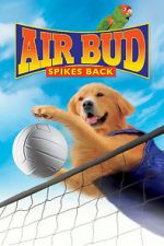 Watch Air Bud: Spikes Back Online M4ufree