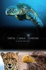 Watch Turtle, Eagle, Cheetah: A Slow Odyssey M4ufree
