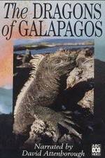 Watch The Dragons of Galapagos M4ufree