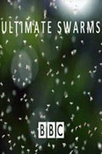 Watch Ultimate Swarms M4ufree