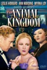Watch The Animal Kingdom M4ufree
