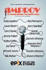 Watch The Improv: 50 Years Behind the Brick Wall (TV Special 2013) Online M4ufree
