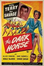 Watch The Dark Horse M4ufree