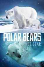 Watch Polar Bears Ice Bear M4ufree