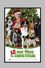 Watch 12 Dog Days Till Christmas Online M4ufree