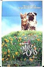 Watch Milo & Otis M4ufree