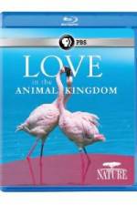 Watch Nature: Love in the Animal Kingdom M4ufree