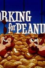 Watch Working For Peanuts M4ufree