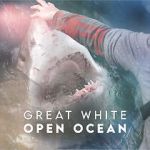 Watch Great White Open Ocean M4ufree