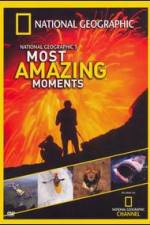 Watch National Geographics Most Amazing Moments Online M4ufree
