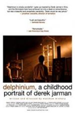 Watch Delphinium: A Childhood Portrait of Derek Jarman M4ufree