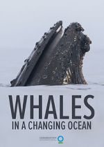 Watch Whales in a Changing Ocean (Short 2021) Online M4ufree