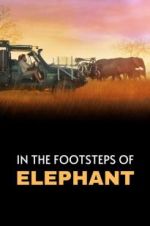 Watch In the Footsteps of Elephant Online M4ufree