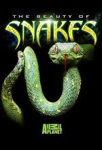 Watch Beauty of Snakes Online M4ufree