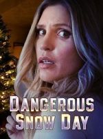 Watch Dangerous Snow Day Online M4ufree