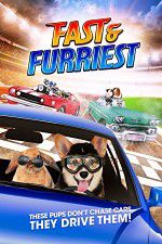 Watch Fast and Furriest Projectfreetv