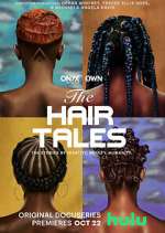 the hair tales tv poster