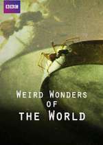 Watch M4ufree Weird Wonders of the World Online