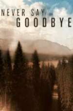 Watch Never Say Goodbye M4ufree