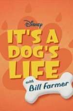 Watch It\'s a Dog\'s Life with Bill Farmer M4ufree