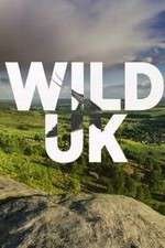 Watch Wild UK M4ufree