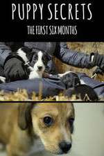 Watch Puppy Secrets: The First Six Months M4ufree