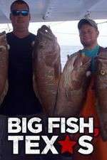 Watch Big Fish Texas M4ufree