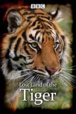 Watch Lost Land of the Tiger M4ufree