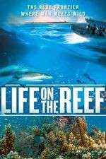 Watch Life on the Reef M4ufree