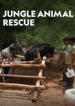 Watch Jungle Animal Rescue M4ufree