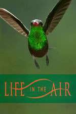 Watch Life in the Air M4ufree