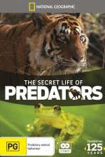 Watch Secret Life of Predators M4ufree